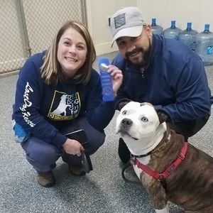 Meet your Posher, Julie